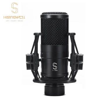 HISINGWELL S-300 Mikrofon Kondenzatorski Strokovno Mikrofon Doma Studio Snemanje Mikrofona Za Igranje Računalniških Zvočne Kartice